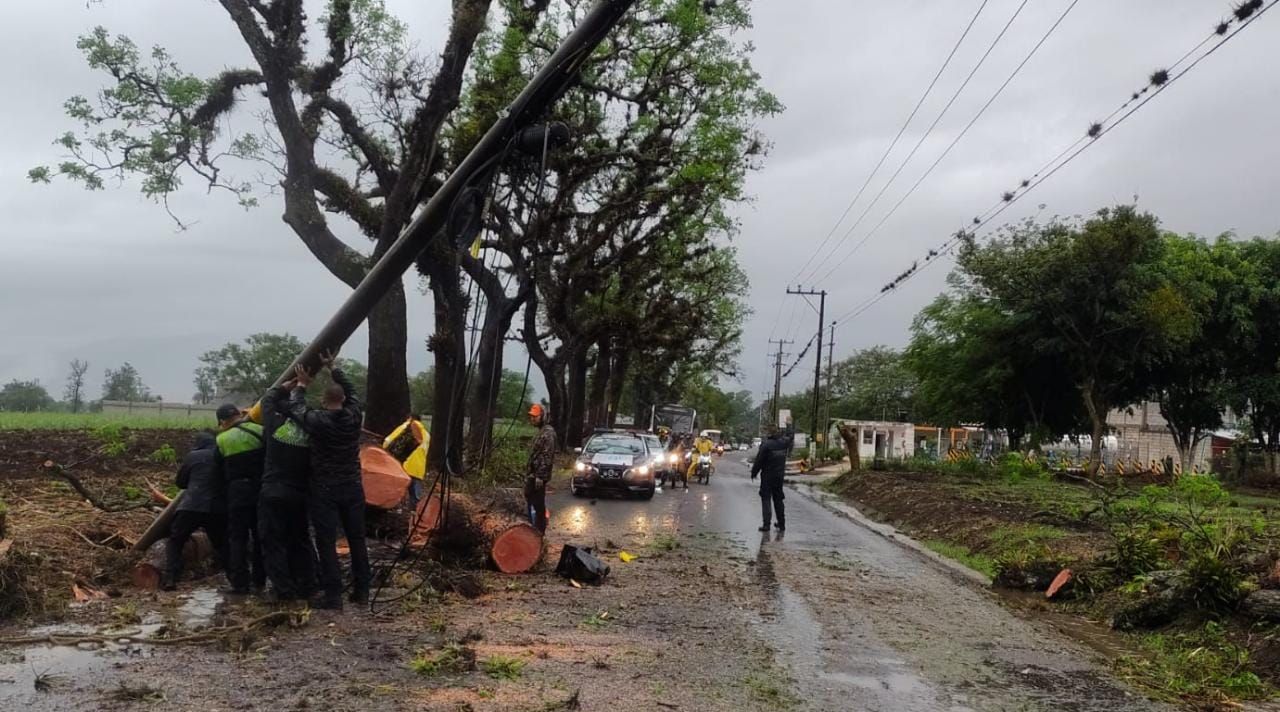 Ante Alerta Gris por lluvias, Protección Ciudadana y Movilidad está atenta a reportes ciudadanos 