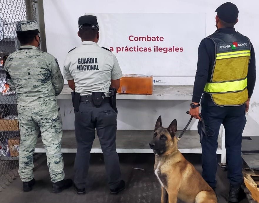 Detectan Aparente Fentanilo Procedente de Hong Konk en Aeropuerto de Tijuana 