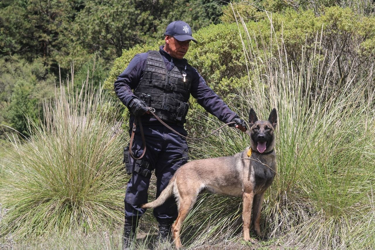 Son Tecnología y Coordinación Institucional fundamentales en la Búsqueda de Personas