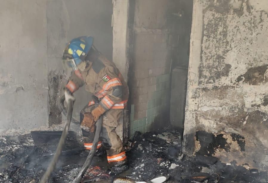 #Bomberos de Ecatepec rescatan 4 conejos y un pitbull atrapados en un incendio: en esta población mexiquense 
