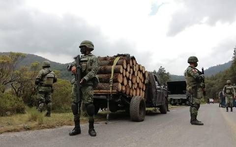 Autoridades federales y estatales aseguran aserraderos en el Edomex: 3 en Ocuilan y 5 en Otzolotepec con la finalidad de detener la presunta tala clandestina