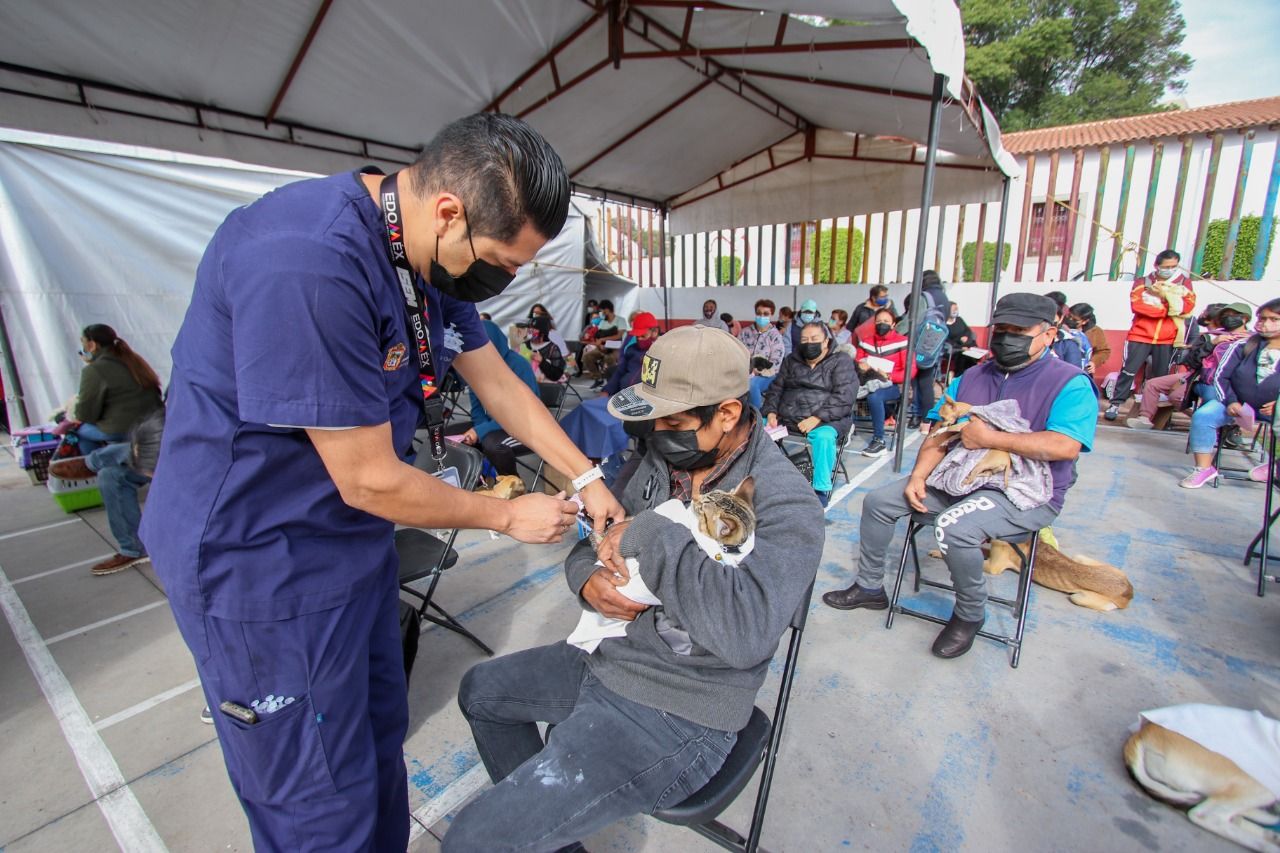 #La dirección de salud de Chimalhuacán esterilizo a más de 300 mascotas
