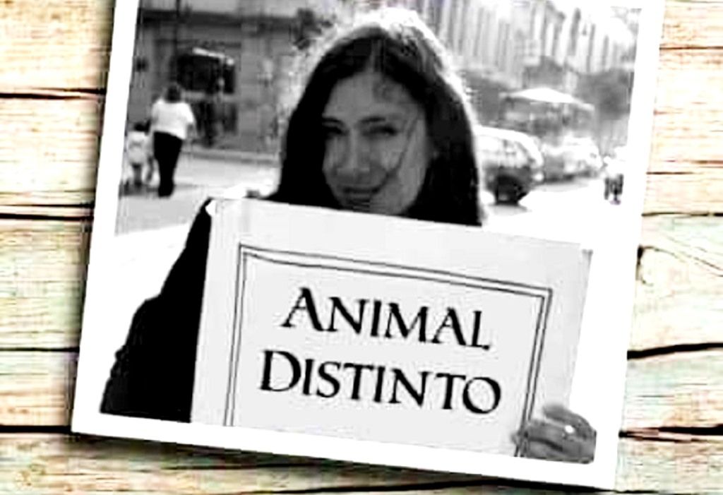 Zindy Rodríguez Tamayo habla de ’Animal distinto’ su más reciente publicación literaria