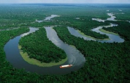 La Amazonia en riesgo de colapso