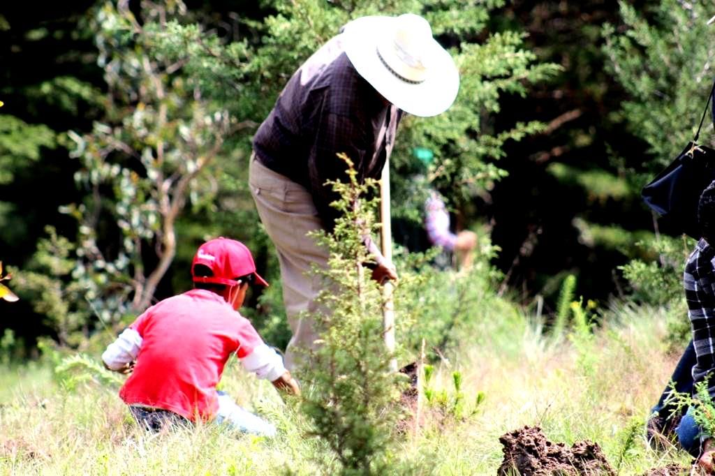 El Edoméx inicia campaña de reforestación 2022