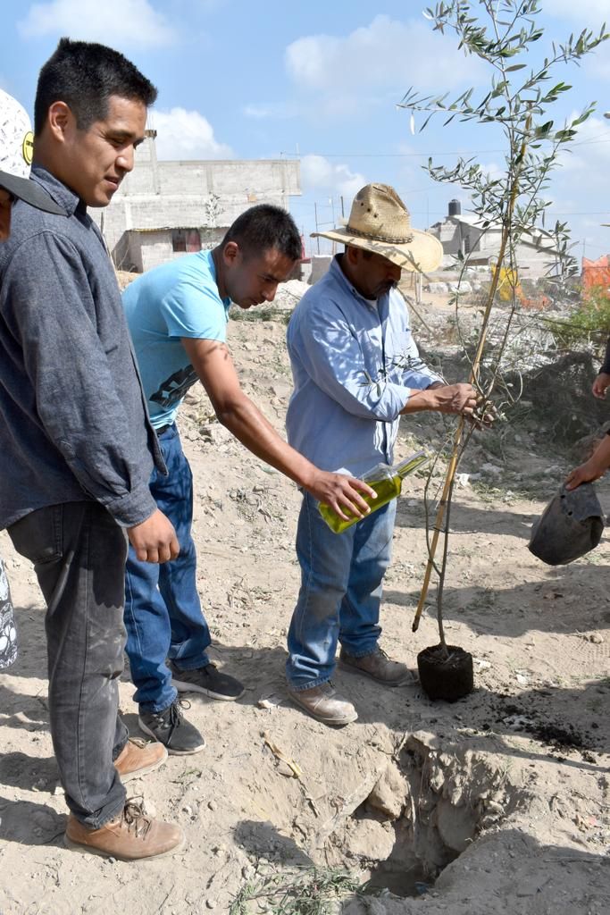 Realizan reforestación del cerro ’el Chimalhuache’, en Chimalhuacán 
