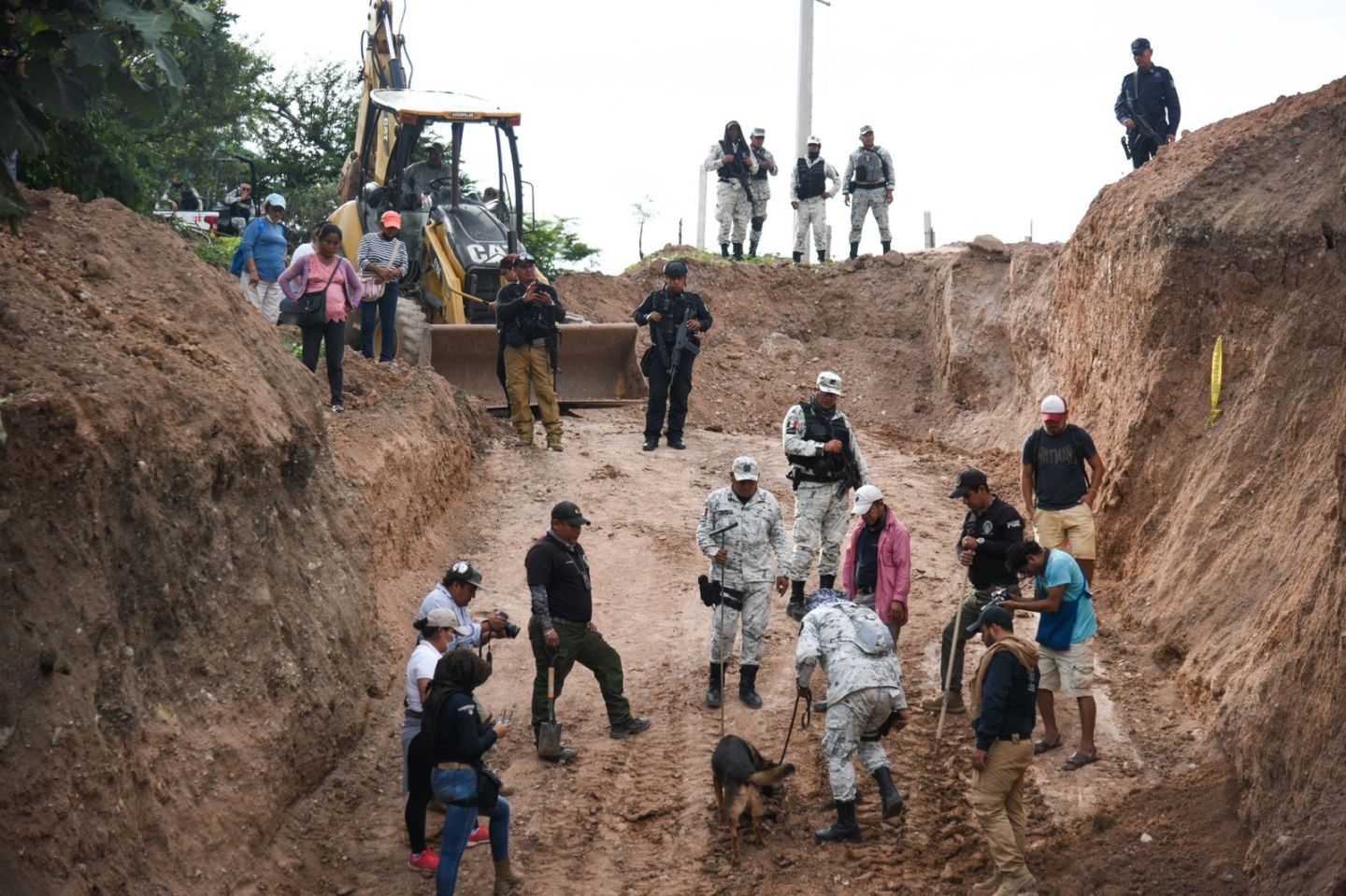  Más de 30 desaparecidos del Colectivo Luciérnaga en Tlapa, Guerrero 