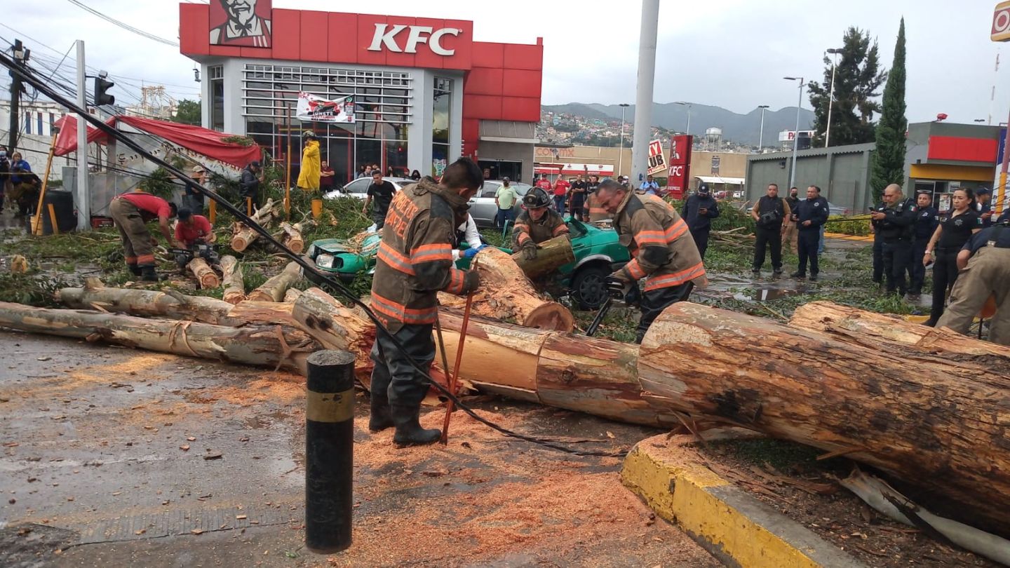 Protección Civil de Ecatepec rescata a una mujer y dos niñas tras la caída de un árbol sobre un vehículo por fuertes lluvias