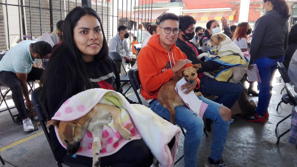 Realizan jornada masiva de esterilización canina en Chimalhuacán 