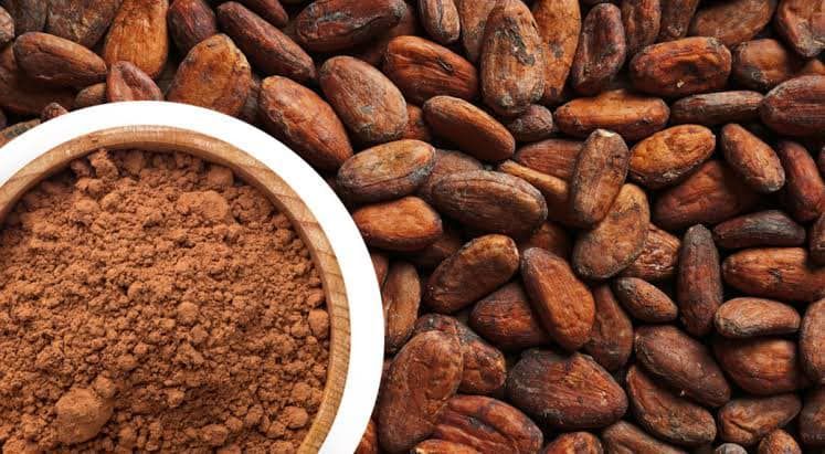  El cacao podría ayudar a reducir la presión arterial, demuestra estudio