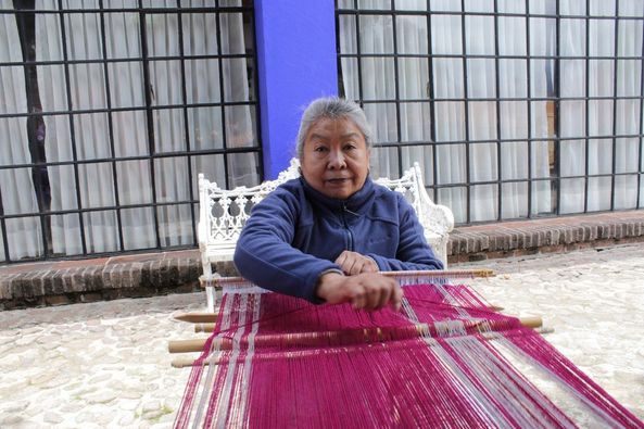 Participa Reyna Rayón Salinas en conversatorio del Museo Hacienda la Pila