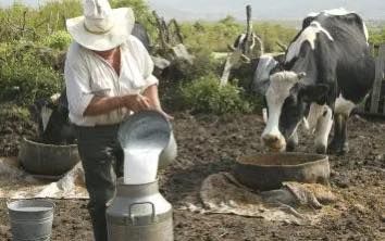 Gobierno de México sube precio de litro de leche que compra a productores