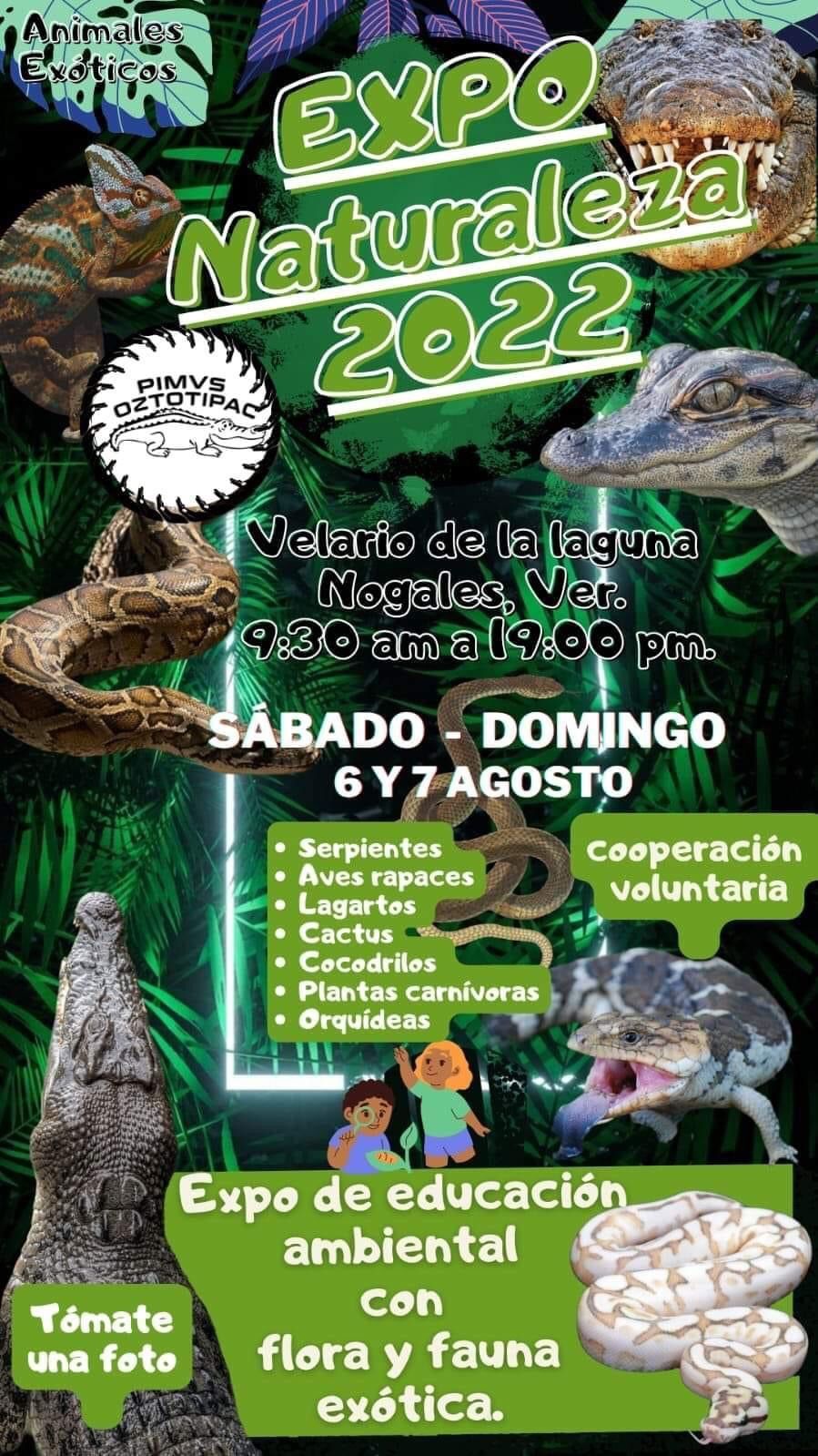 Fomenta Nogales Veracruz, la educación ambiental con flora y fauna 