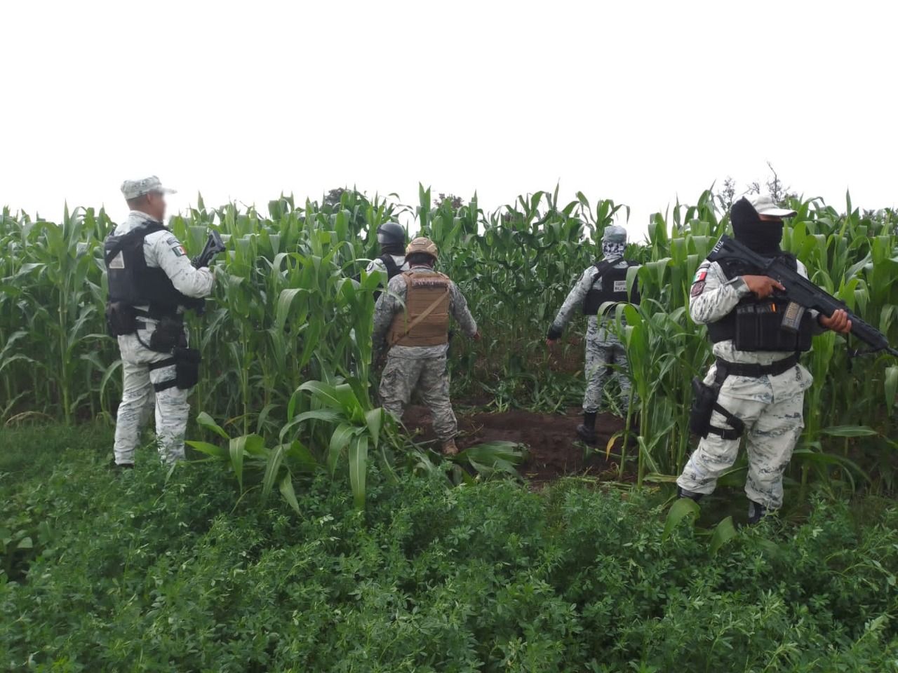 No cede el huachicol: Guardia Nacional inhabilita tomas clandestinas en Puebla y Estado de México. 