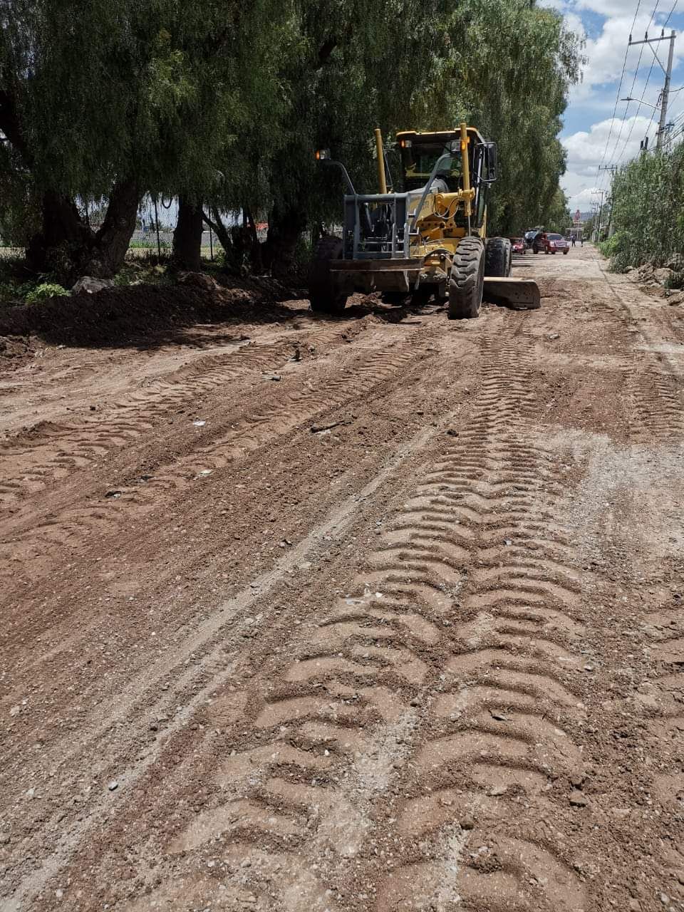 Servicios públicos empareja calles y apodan árboles en Tezoyuca 