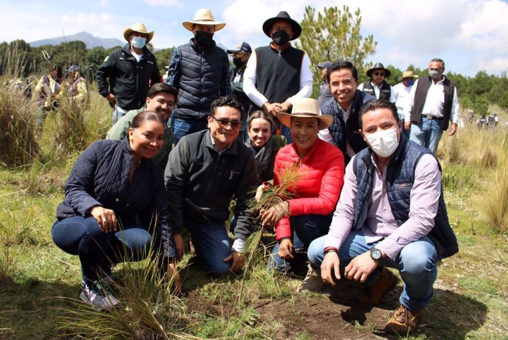 El GEM impulsa la restauración y conservación de zonas forestales del Nevado de Toluca