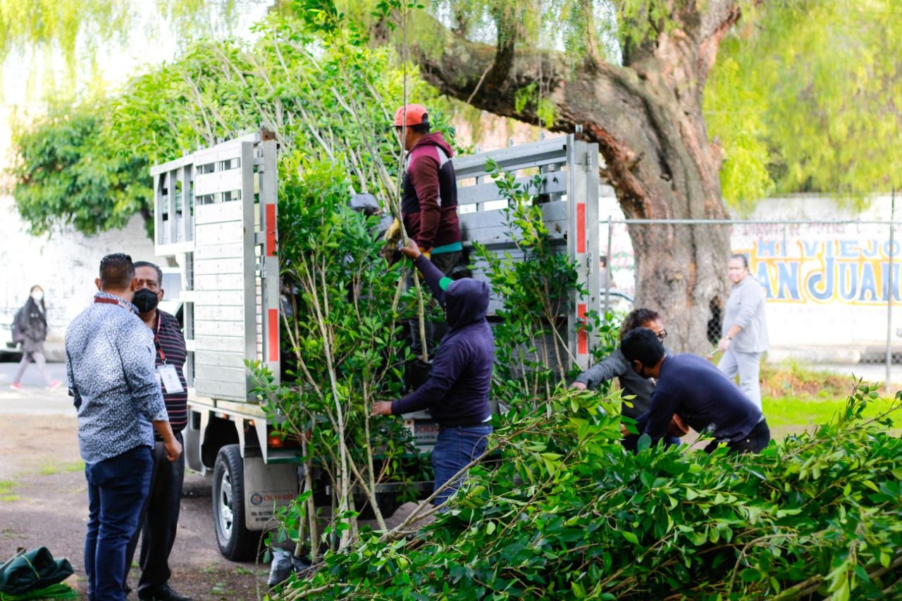 Siembran más de mil árboles en zona de manantial en Texcoco