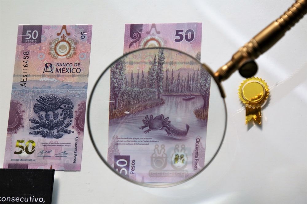 Exhiben ’familia de billetes. patrimonio y tecnología en tus manos’ en el museo de Numismatica del Estado de México 