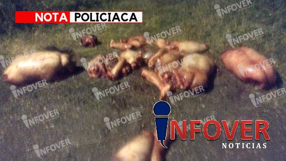 Aparecen tres cuerpos desmembrados en Ixtaczoquitlán