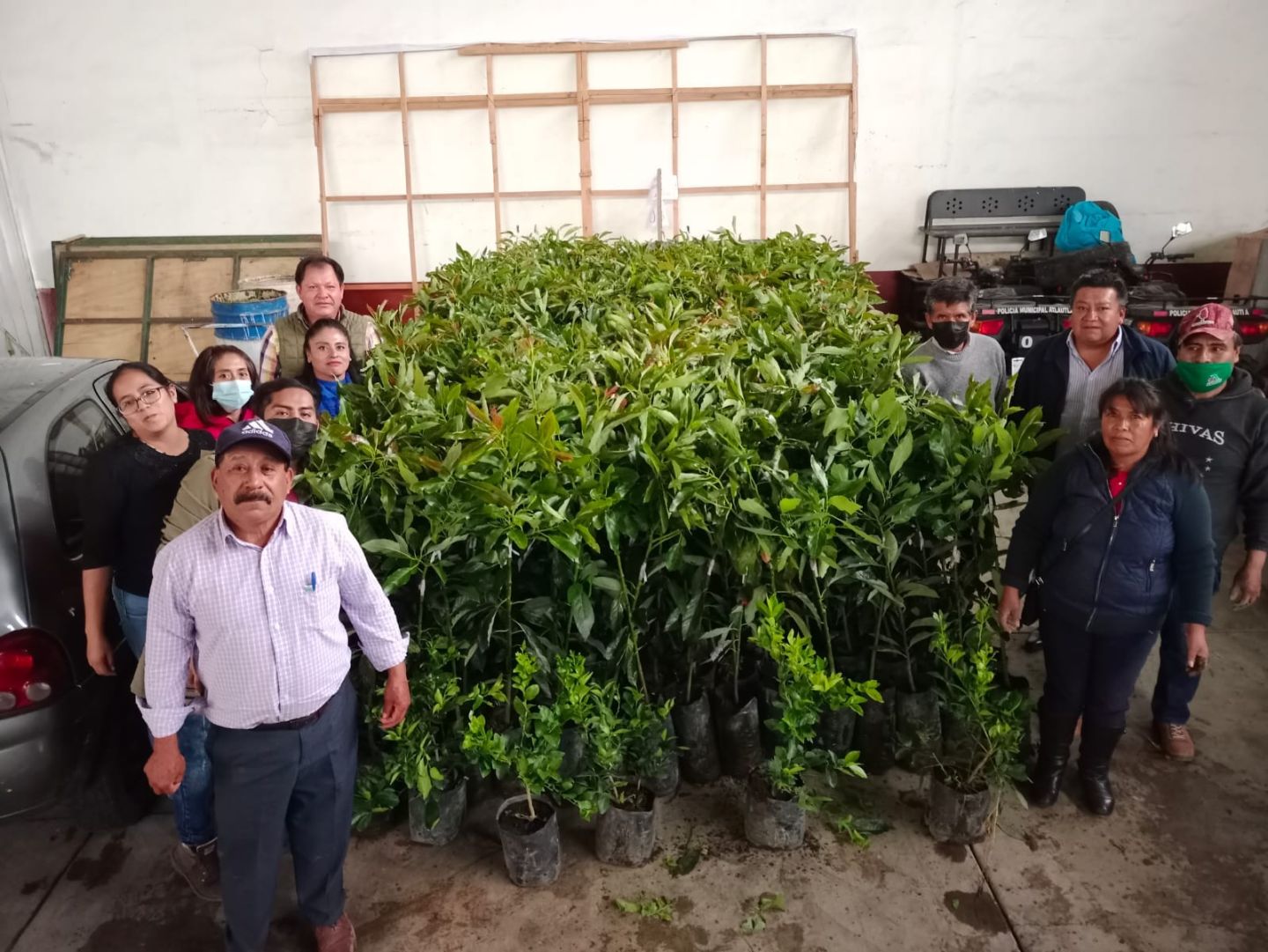 Se Superó Meta de Siembra de Árboles Frutales en Atlautla