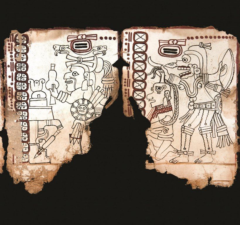El milenario Códice Maya de México protagoniza exposición en Los Ángeles

