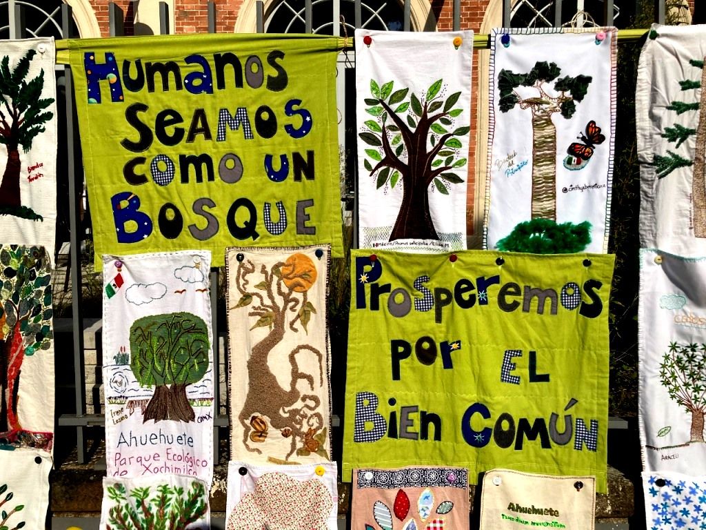 Las Bibliotecas Públicas del Valle de Toluca reciben El Proyecto Festival Bosque de Esperanza, Bibliotecas y Medio Ambiente