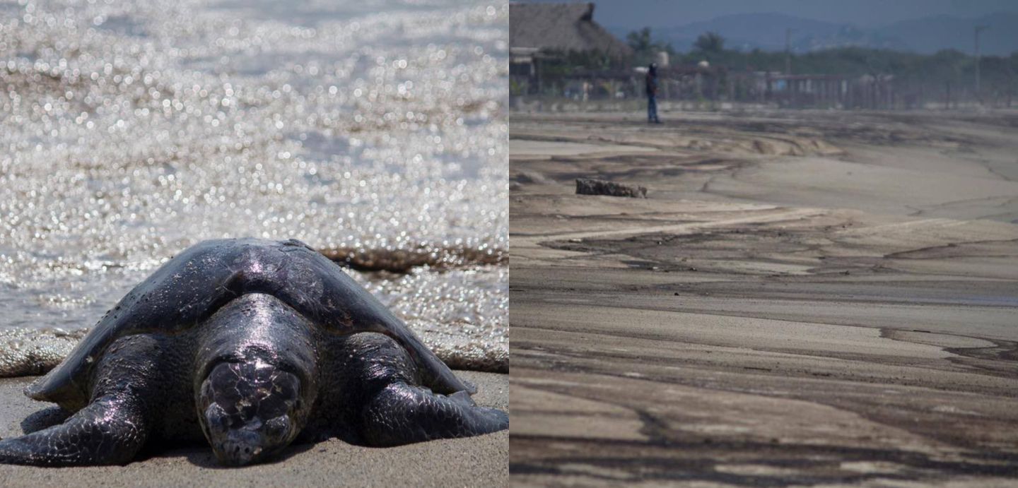 Causa huachicol desastre ecológico en playas de Oaxaca 