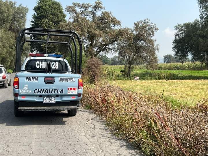 Encuentran hombre sin vida en parcela de alfalfa en el municipio de Chiautla 