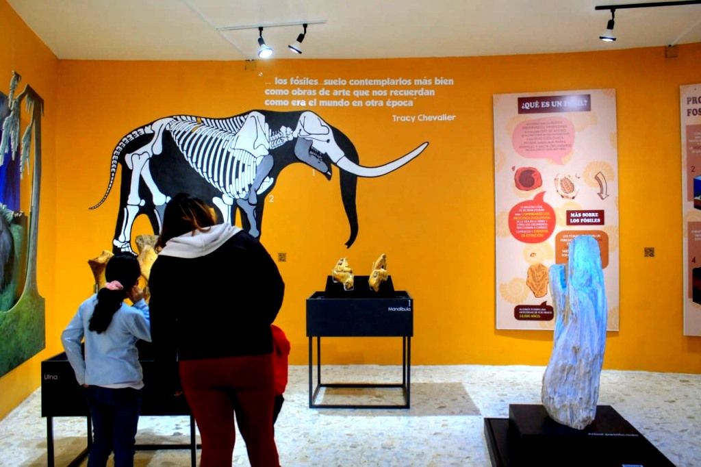 El Museo de Ciencias Naturales estrena Museografía sobre la Historia de la Vida en la Tierra