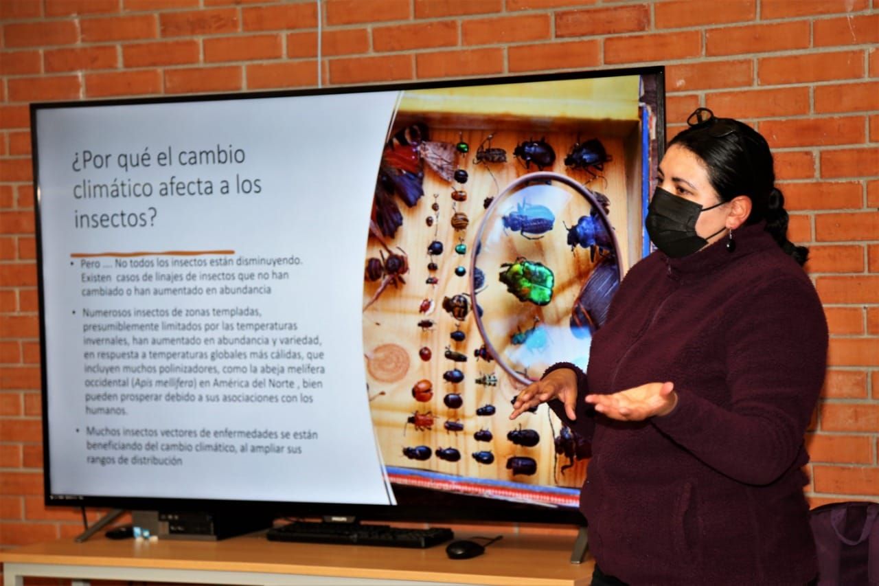 Continúan Actividades del Festival Bosque de Esperanza