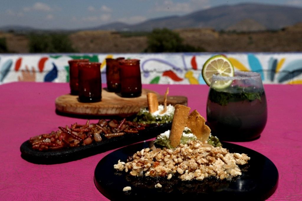 La gastronomía mexiquense prehispánica destaca por sus raíces   