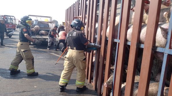 Bomberos y Policía municipal unen esfuerzos para atender accidente en la Texcoco-Lechería