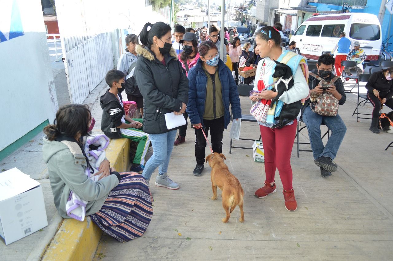 Gobierno de Chimalhuacán Esteriliza 200 Caninos y Felinos en San Juan Zapotla

