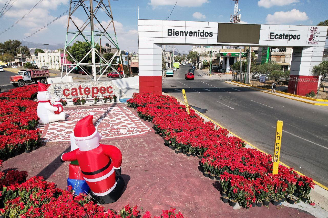 Ecatepec dona más de 60 mil plantas de nochebuena a vecinos al concluir festejos navideños