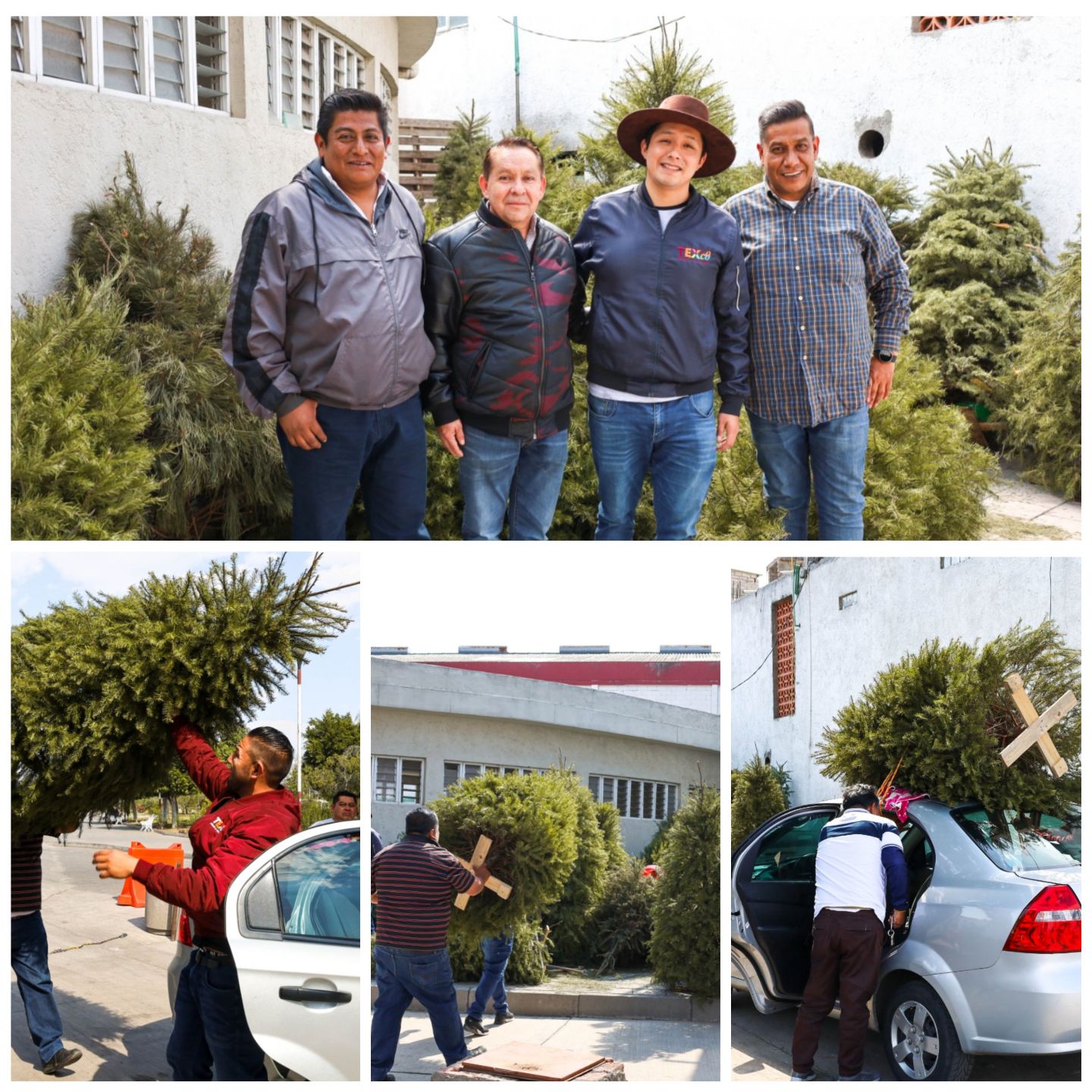 En  Texcoco inició Campaña "Recicla tu árbol", en la Alameda terminará el día 2 de febrero. 