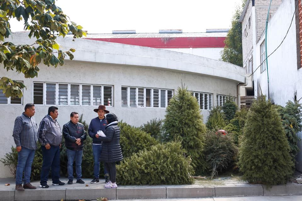 Los Residuos Orgánicos de los Árboles Navideños permite la recuperación de Áreas Verdes en Texcoco 