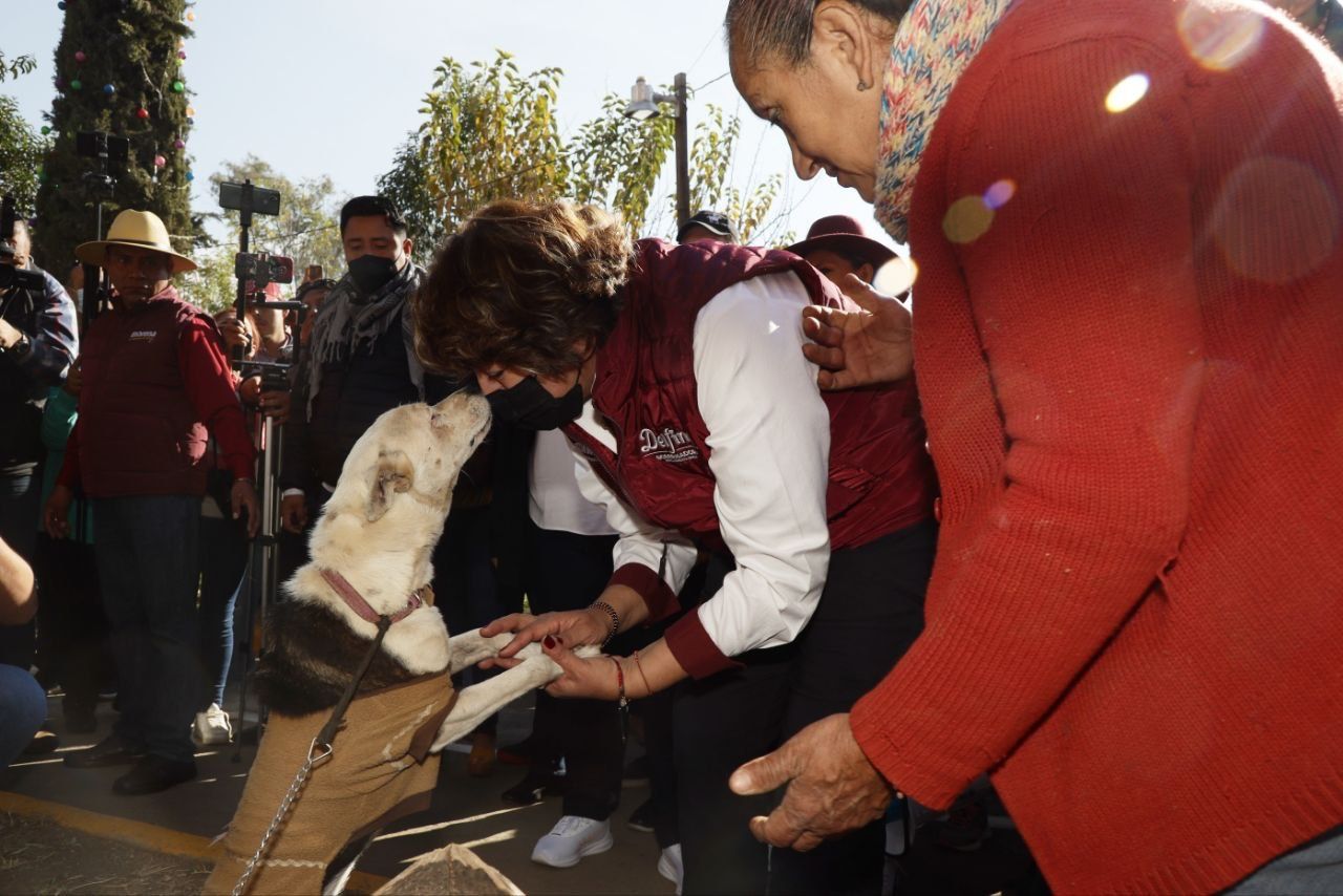 Delfina Gómez recorre granja de animales rescatados en Ixtapaluca; pide darles una vida digna
