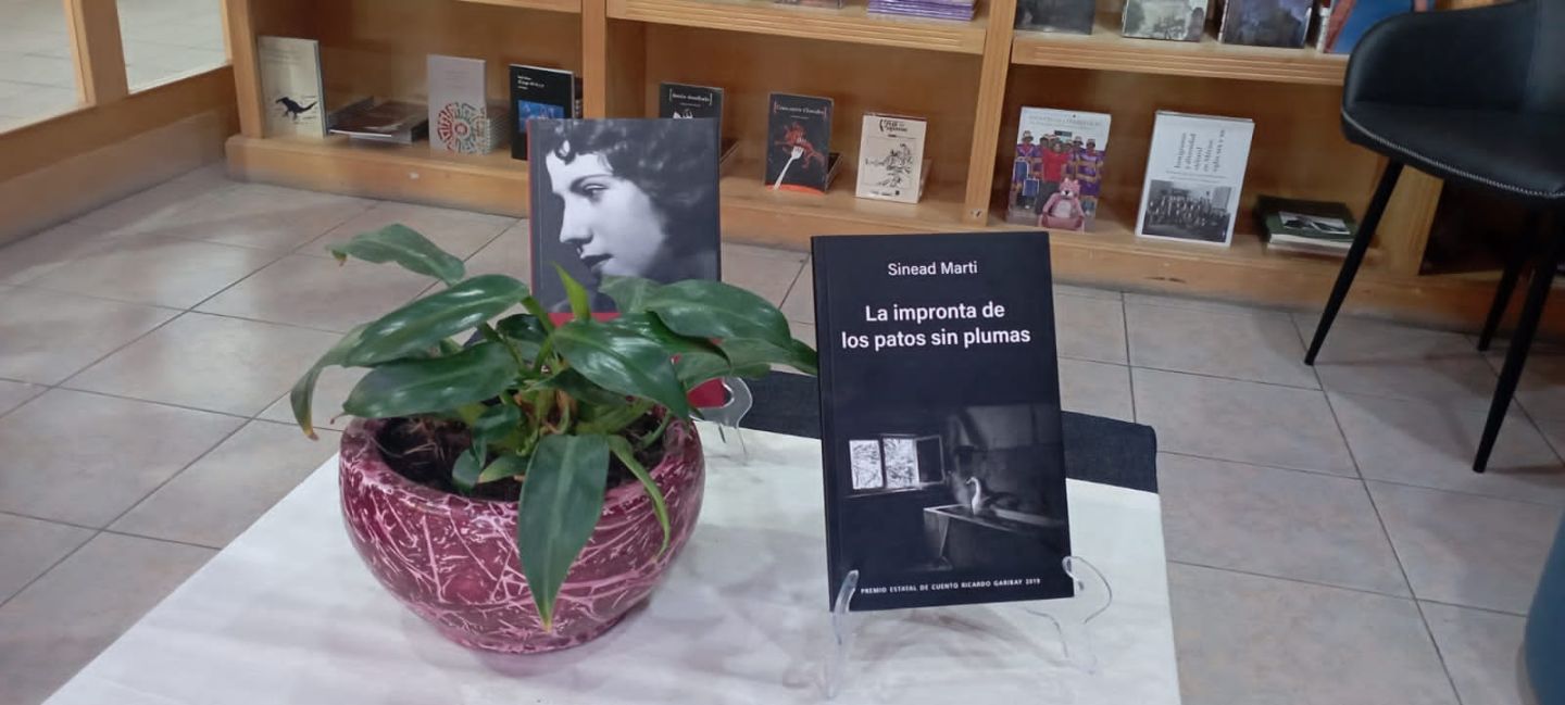 Librería Margarita Michelena divulga obra de escritores y escritoras hidalguenses