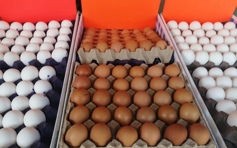 De terror el precio del huevo en Toluca el promedio del kilo está en 50 a 52 pesos piden se estabilice con urgencia el precio 