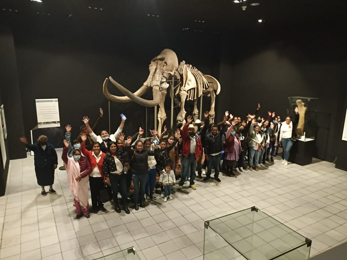 Anuncian Fecha Límite para Visitar al Mamut de Ecatepec