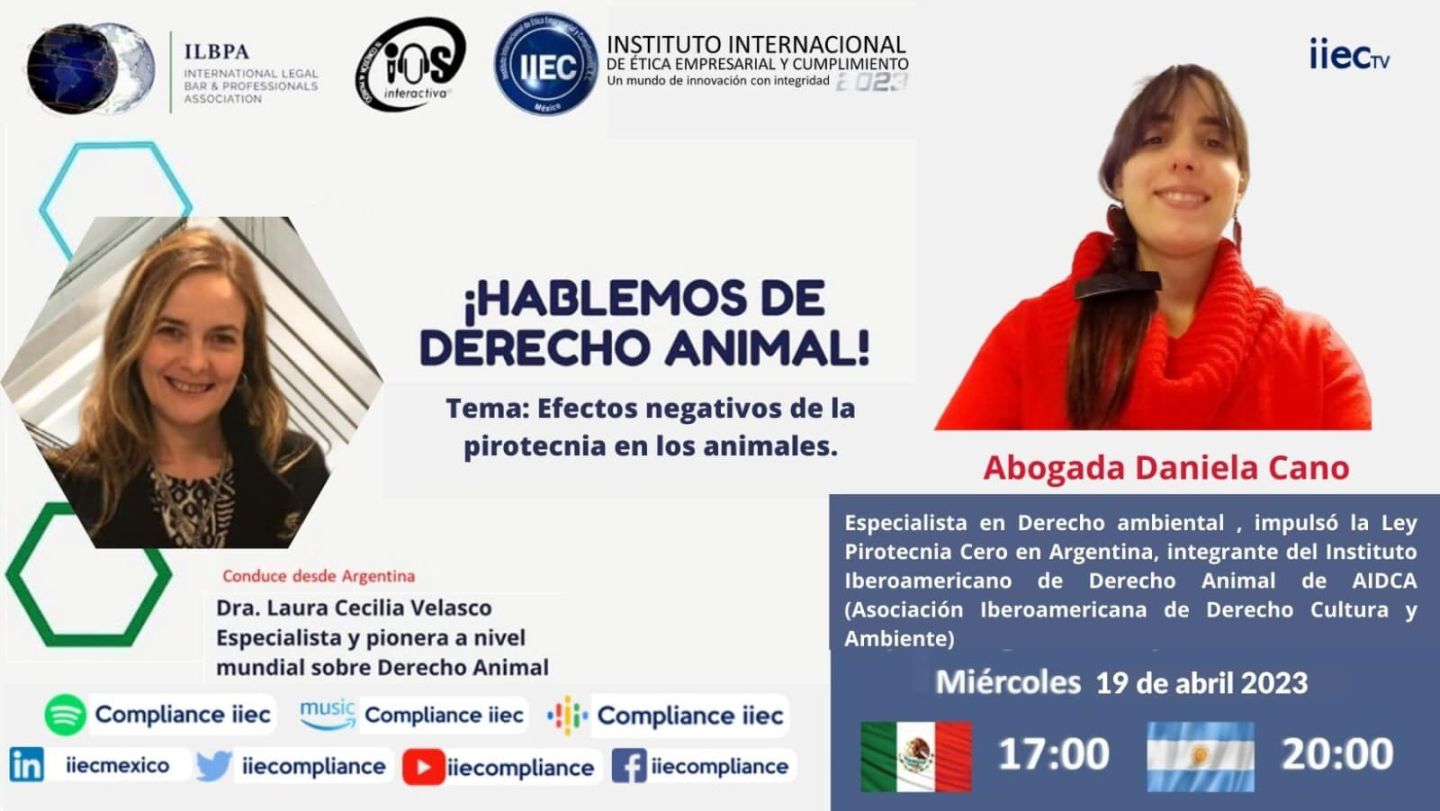 Hablemos de Derecho Animal