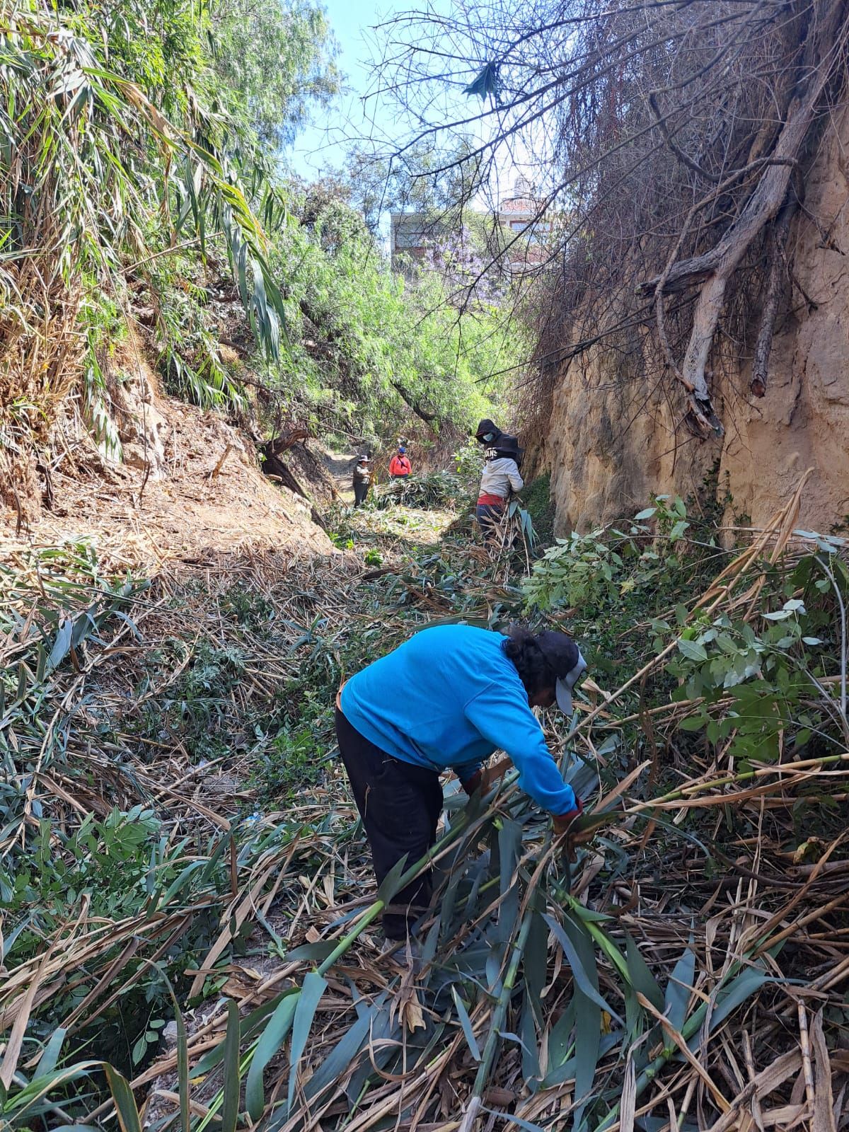 Realizan, Conagua y autoridades de Tlaxcala, limpieza de barranca de Xico