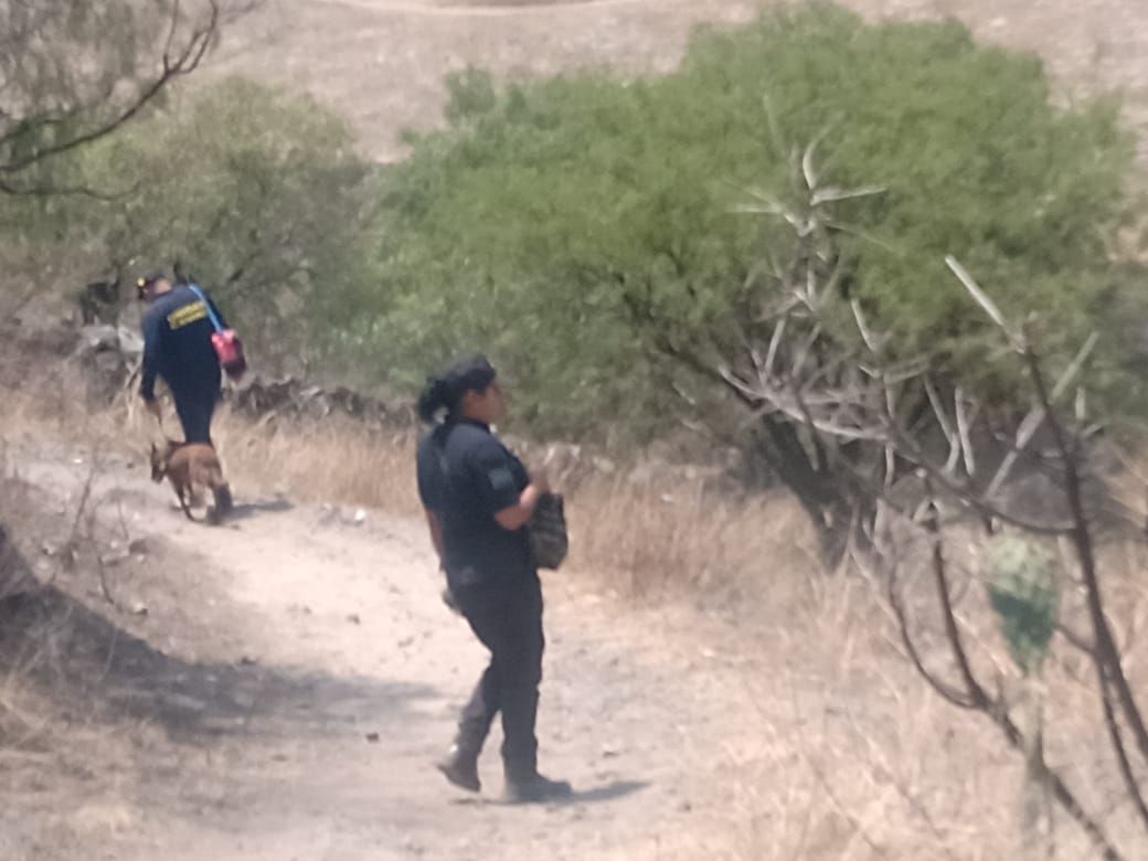 Continúan operativos en Valle de Chalco en busca de personas desaparecidas