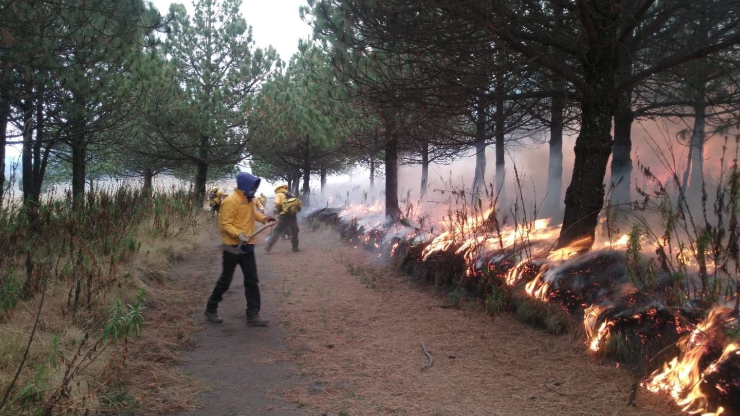 Sofocan Incendio Forestal en Parque Ixta-Popo
y Parajes más de Cien Brigadistas, PC y Bomberos.