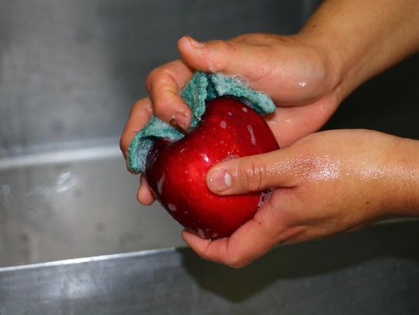 Recomienda Salud Medidas para evitar Enfermedades Diarreicas por Temporada de Lluvias