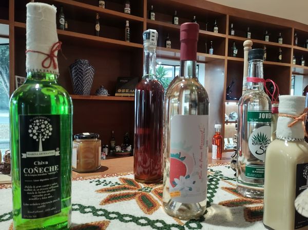 Tienen Bebidas Tradicionales Mexiquenses Proyección Internacional