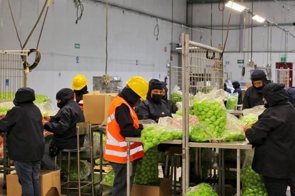 Destacan Empresas Mexiquenses Dinamismo Económico que les Permite Crecer sus Inversiones