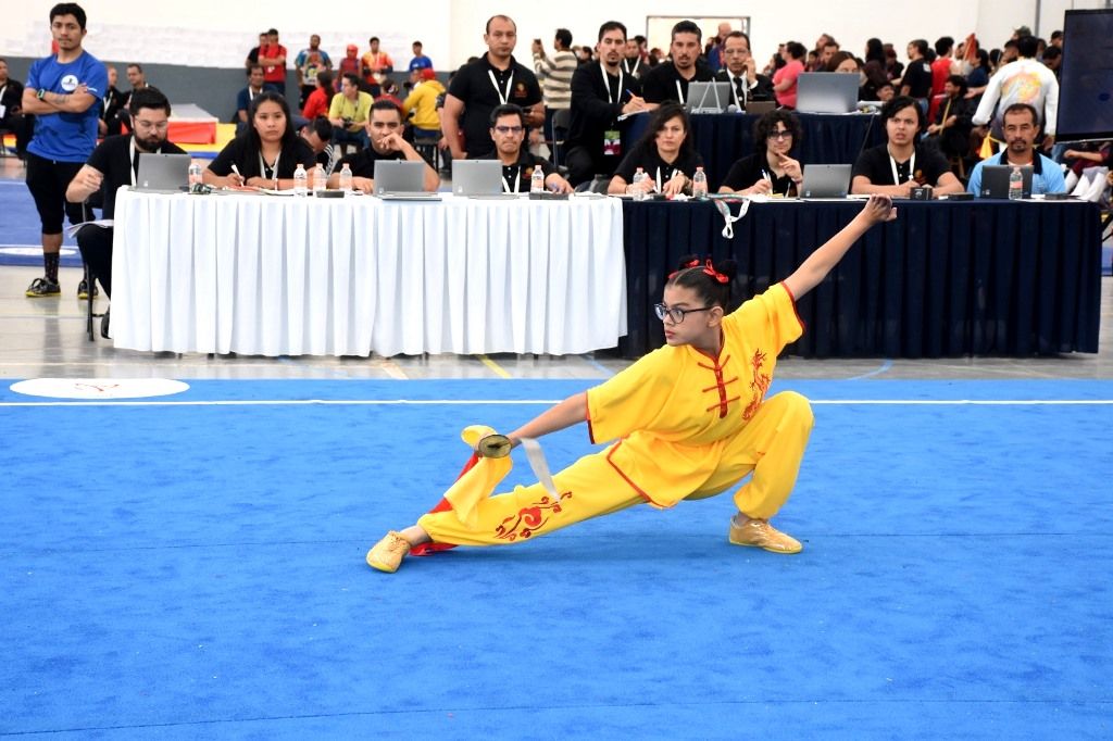 La Delegación Mexiquense ocupa el primer lugar en campeonato nacional de Wushu Kung Fu