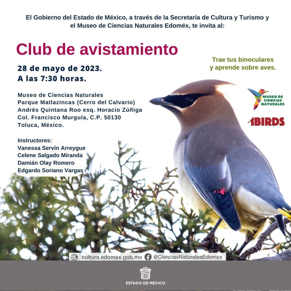 Disfrutan Familias de Actividades en Museo
de Ciencias Naturales del Estado de México.