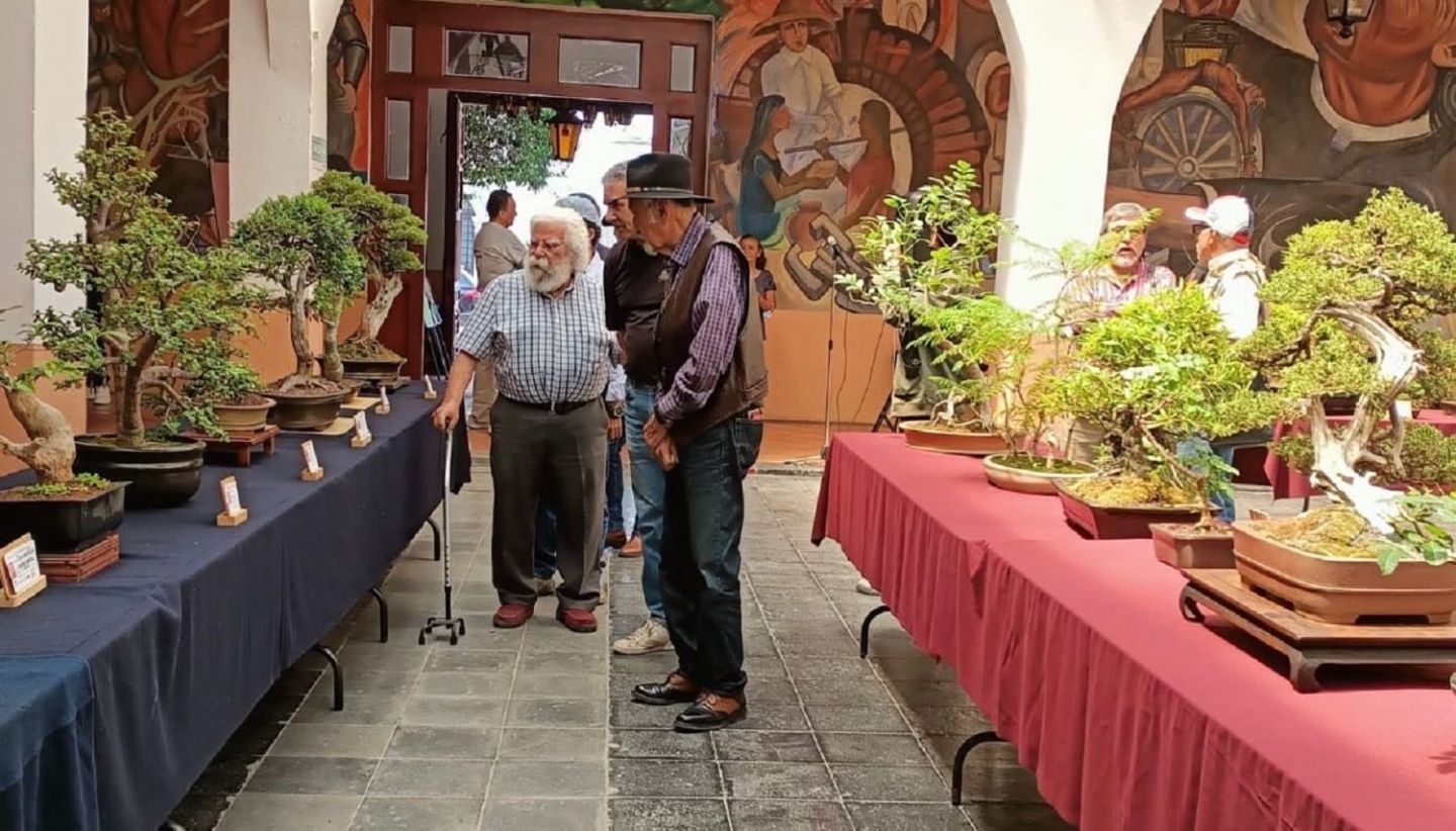 Llega al Centro Regional de Cultura de Texcoco Exposición de Bons